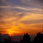 IMG_0009
