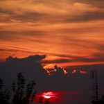 IMG_0021