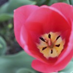 IMG_0342