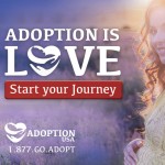 Web Banner Mobil: Adoption USA Campaign
